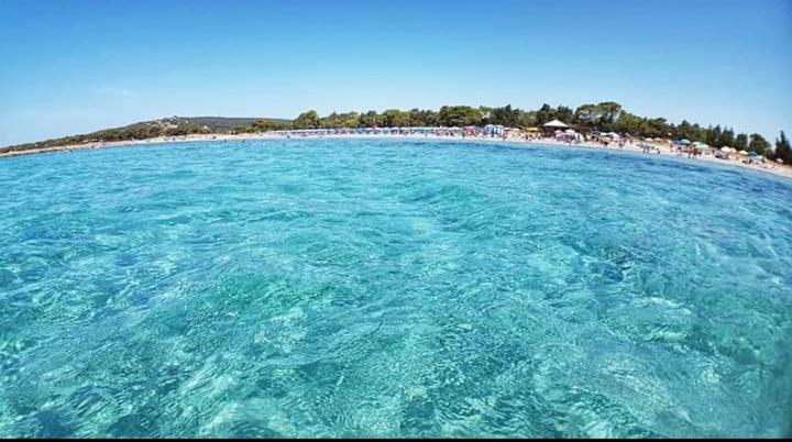 Villa Panoramica Immersa Nel Verde Порто Пино Екстериор снимка